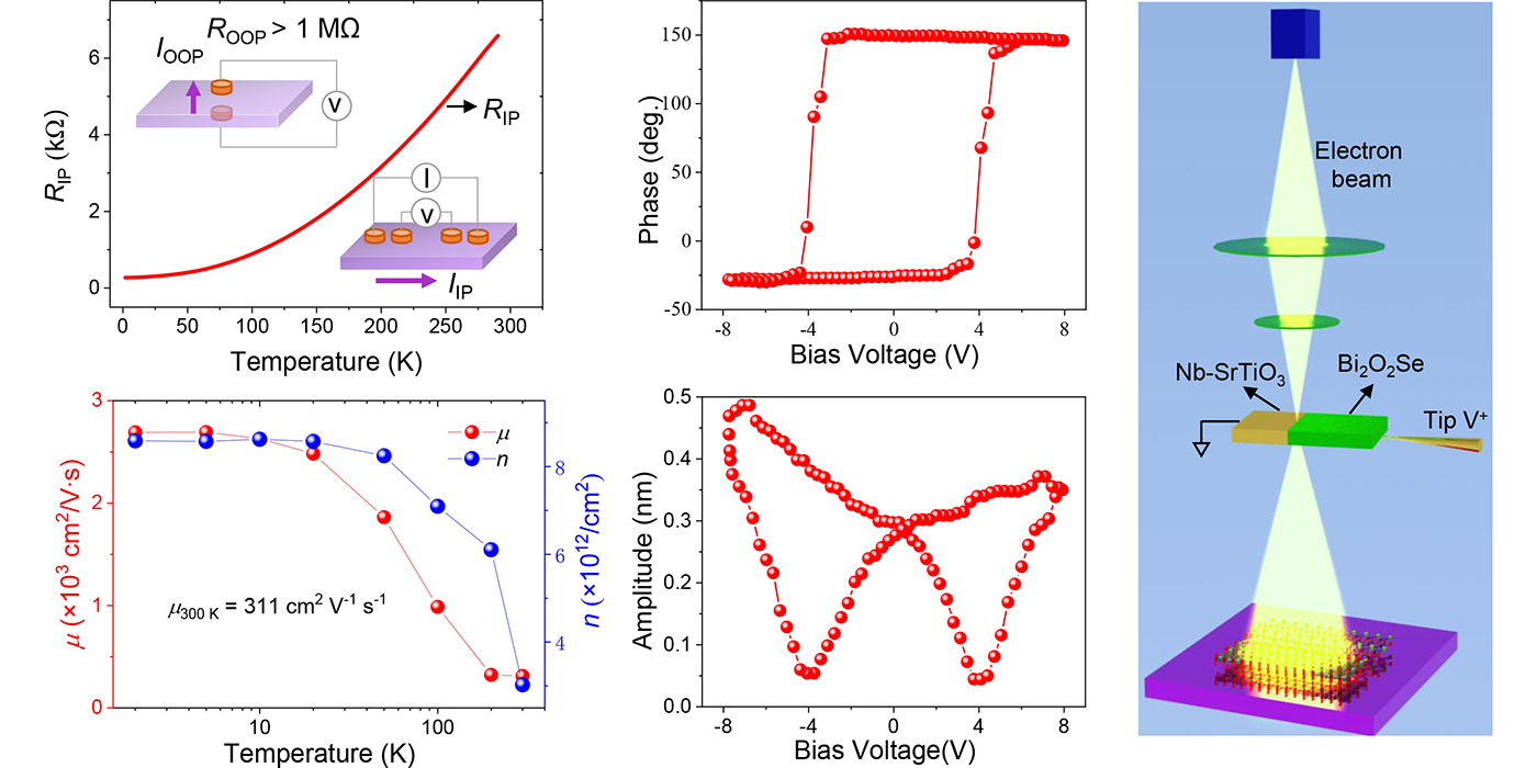 单层Bi₂O₂Se薄膜的室温铁电性观测与机理研究