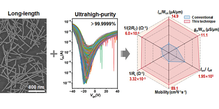超纯长半导体性碳纳米管分离制备