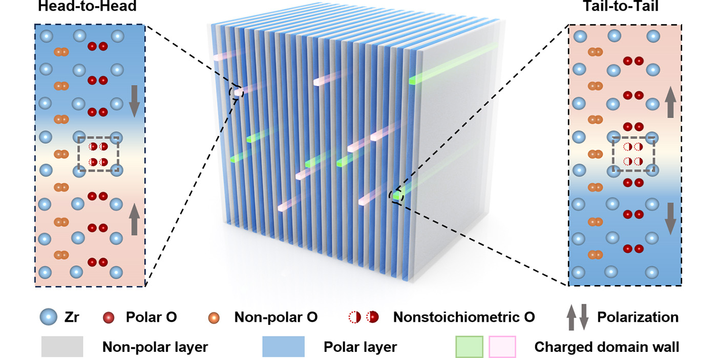 一维带电畴壁新物态的发现