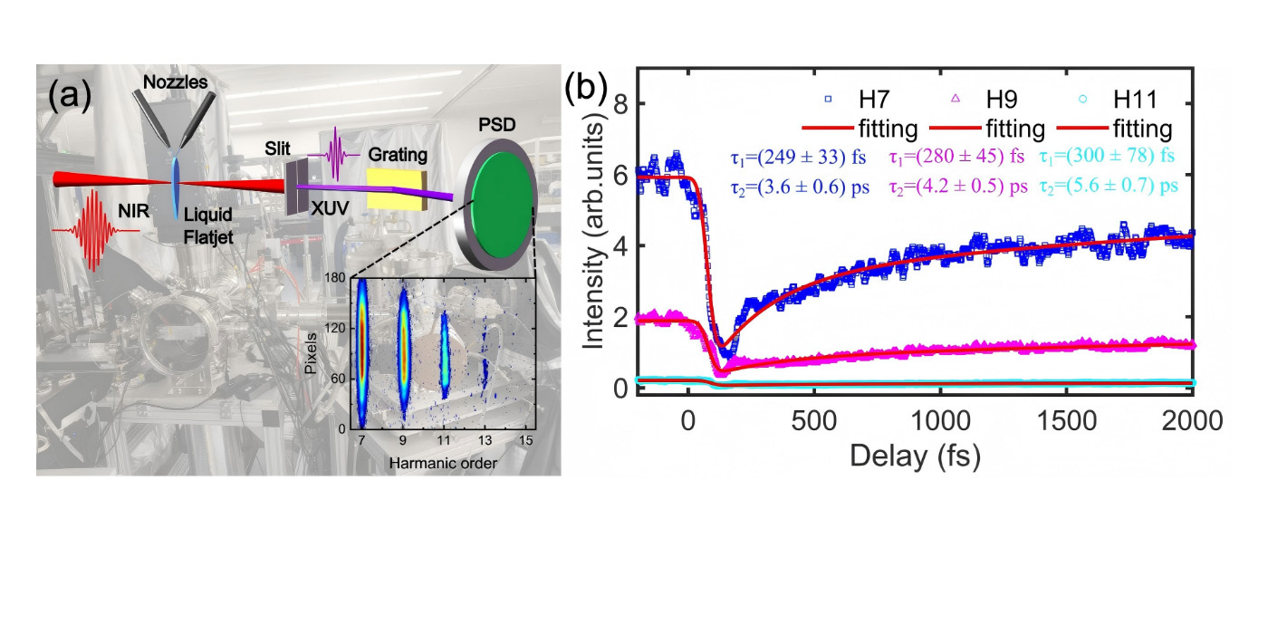液体高次谐波产生装置