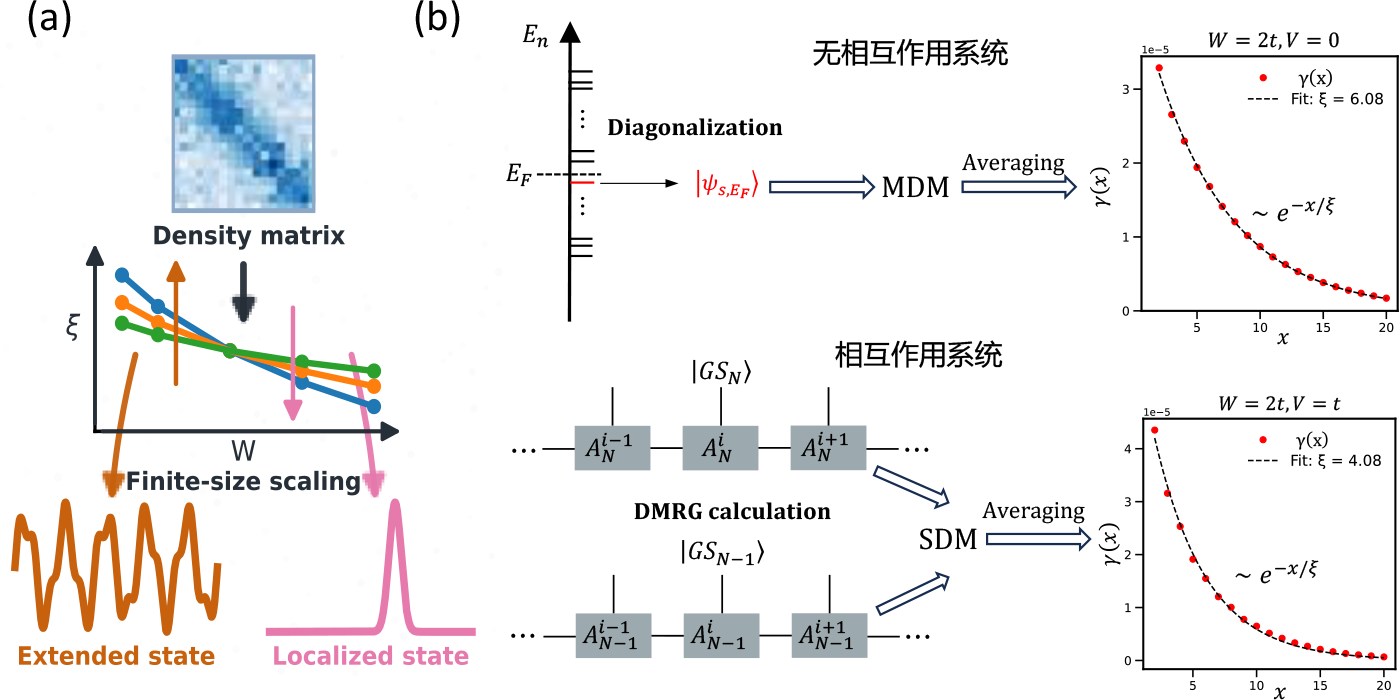 密度矩阵视角下的 Anderson 局域化与二维金属