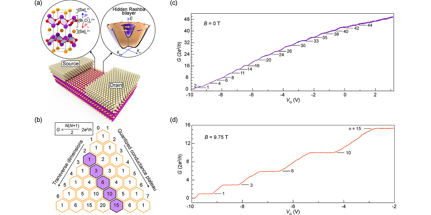 Bi₂O₂Se纳米带中的电导量子化与隐藏Rashba效应