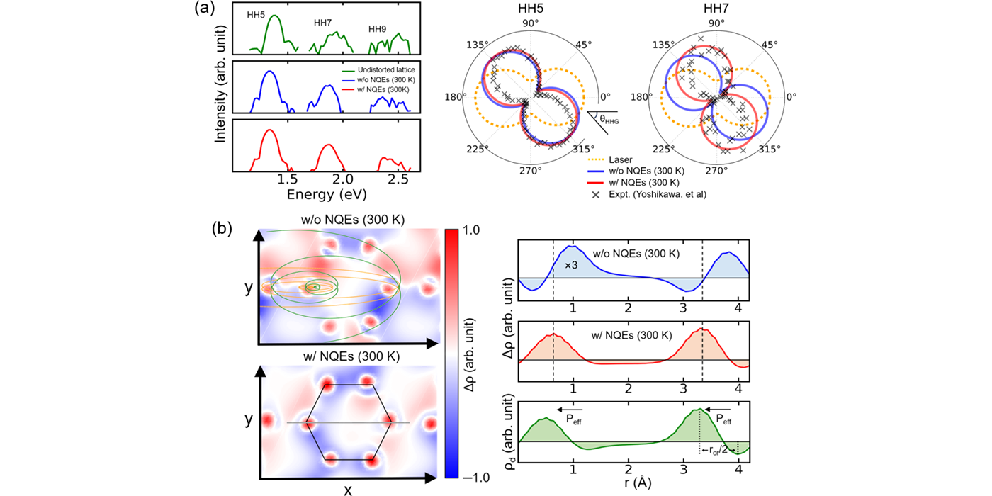 核量子效应驱动的固体阿秒电子动力学涨落新机制